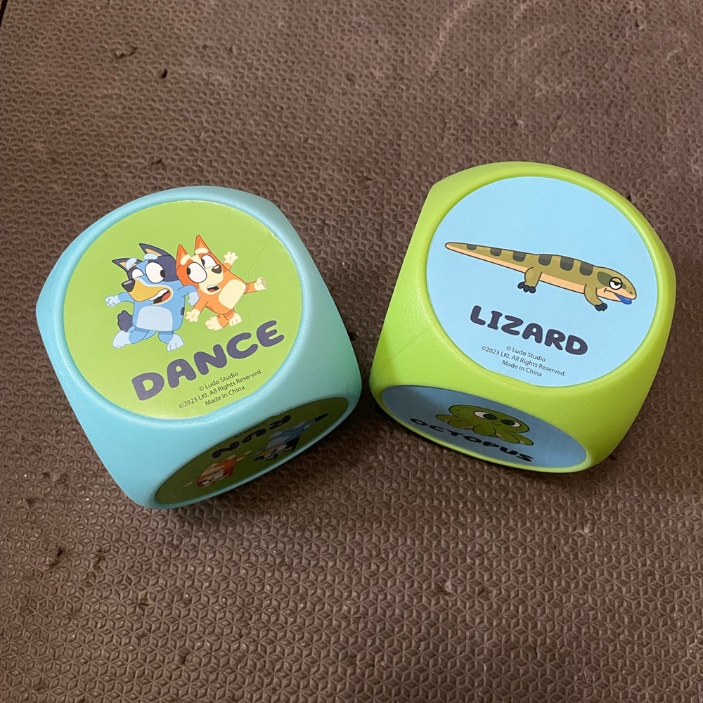 Bluey Activity Dice